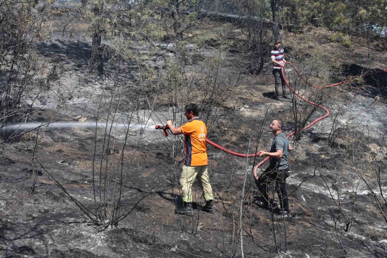 Kastamonu’nun Taşköprü ilçesinde tarım arazisinde çıkan ve ormanlık alana sıçrayan