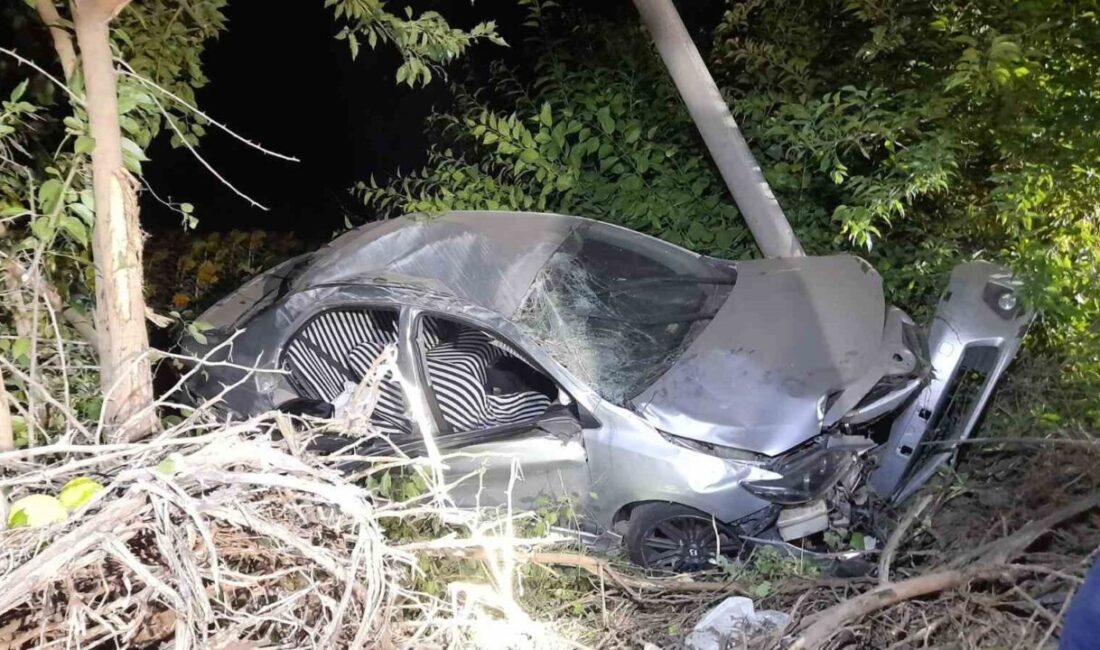 Tokat’ın Erbaa ilçesinde, sürücüsünün direksiyon hakimiyetini kaybettiği otomobilin yoldan çıkıp