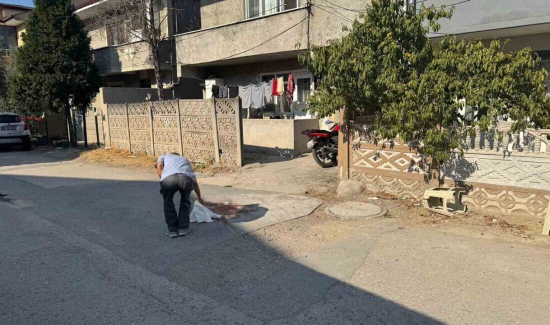 Sakarya’nın Erenler ilçesinde tartıştığı babasını pompalı tüfekle ağır yaralayan şahıs,