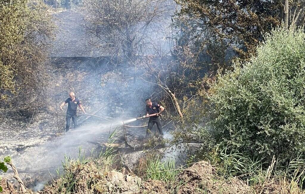 Gölpazarı-Yenipazar karayolu üzerindeki Taşınburnu mevkiinde geçtiğimiz gün çıkan çıkan orman