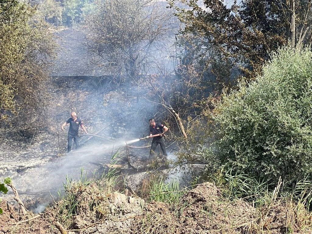 Gölpazarı-Yenipazar karayolu üzerindeki Taşınburnu mevkiinde geçtiğimiz gün çıkan çıkan orman