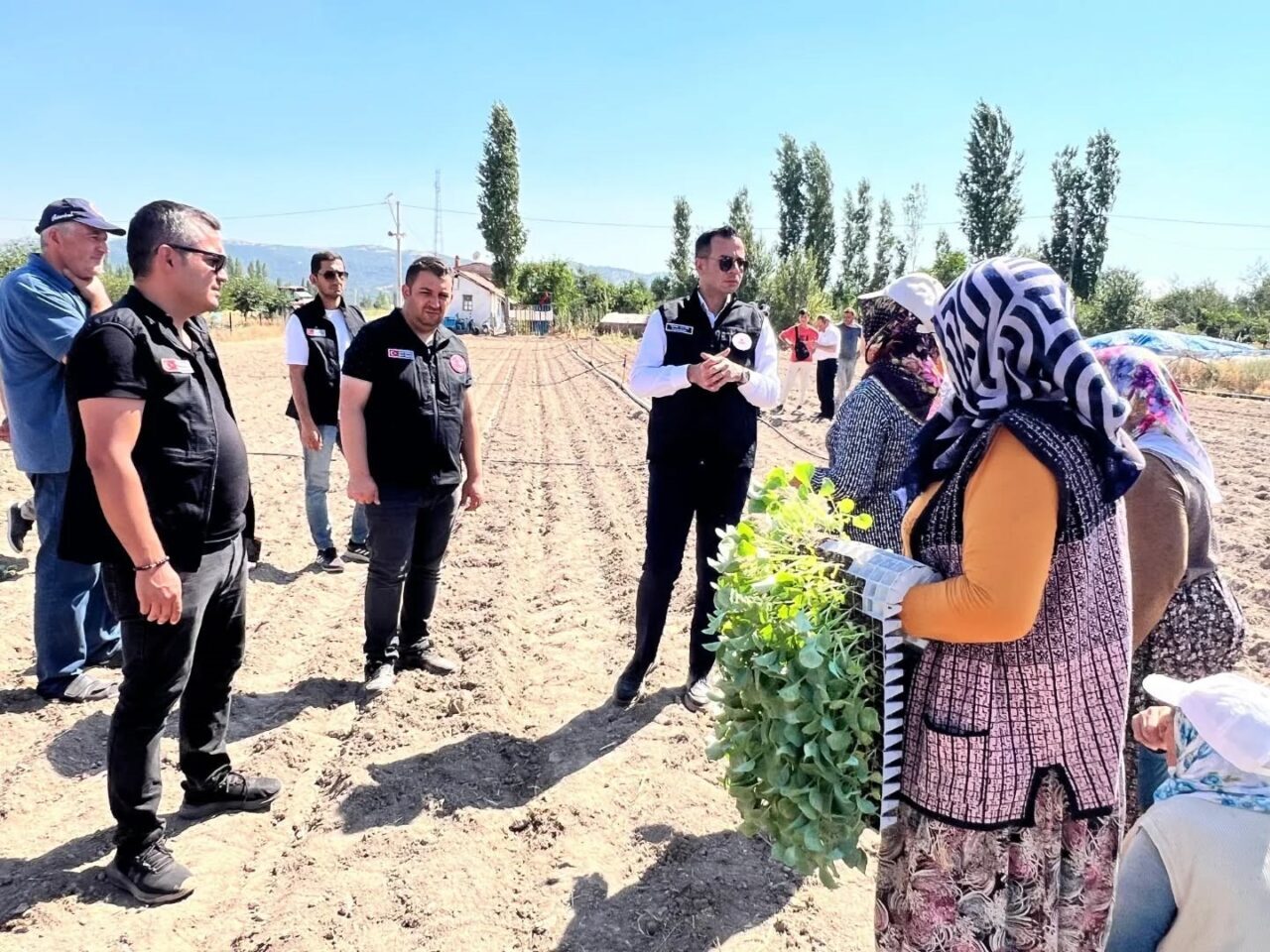 Afyonkarahisar’ın Sinanpaşa ilçesine bağlı Taşoluk beldesinde, brokoli üretimini teşvik etmek