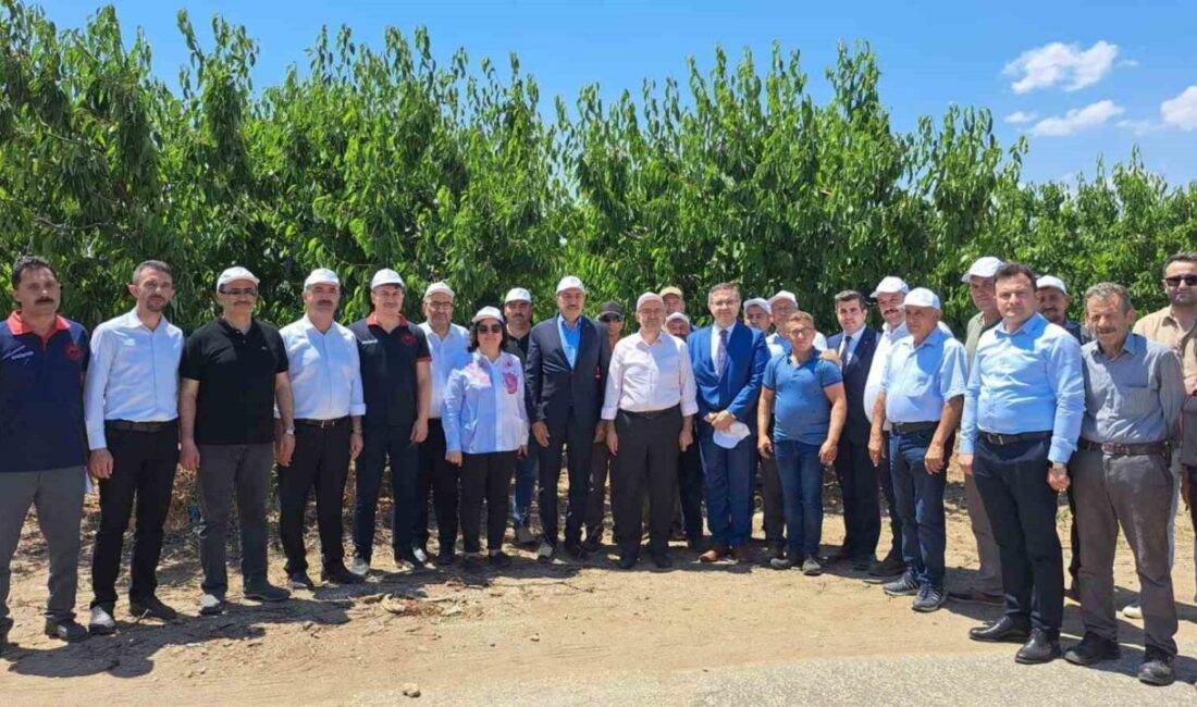 Türkiye Büyük Millet Meclisi (TBMM) Zirai Don Olayını Araştırma Komisyonu