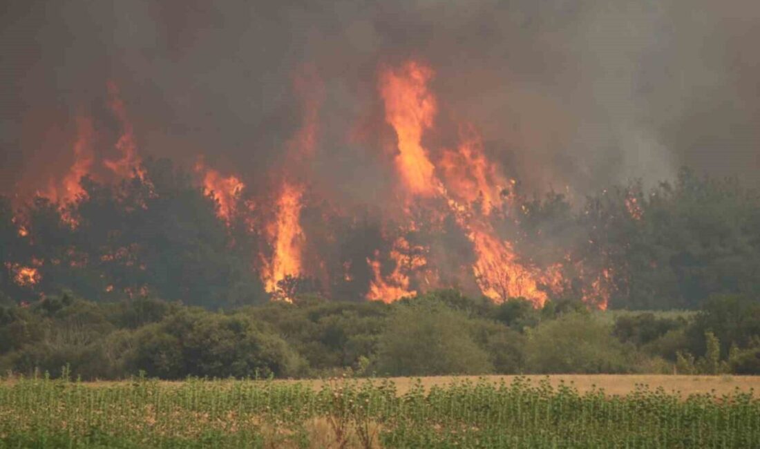 Tekirdağ Şarköy yangını, Çanakkale’nin Gelibolu ilçesi Kavakköy istikametinde yer yer
