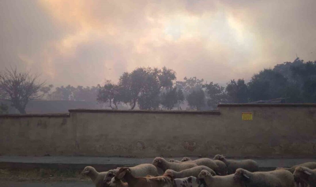 Tekirdağ’ın Şarköy’de ormanlık alanda çıkan rüzgarın etkisiyle büyüyerek yerleşim alanlarına