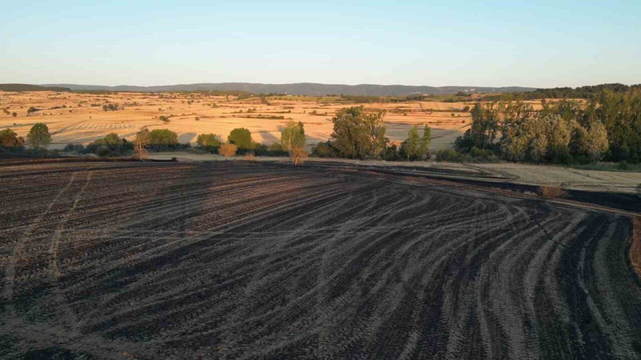 Tekirdağ’ın Malkara ilçesinde çıkan tarla yangını, ekiplerin yoğun çabasıyla söndürüldü.