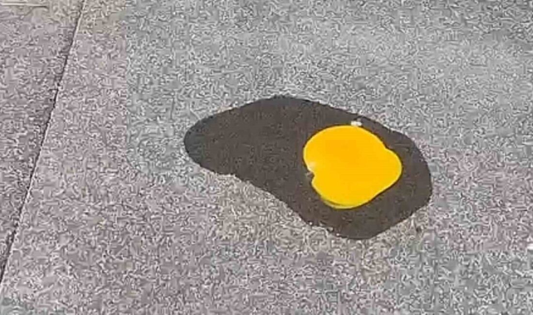 Afrika sıcaklarının kavurduğu Tekirdağ’da vatandaşlar serinlemek için ağaç gölgelerine ve