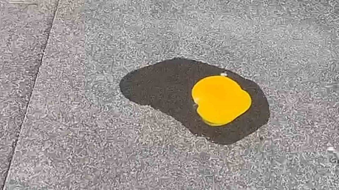 Afrika sıcaklarının kavurduğu Tekirdağ’da vatandaşlar serinlemek için ağaç gölgelerine ve