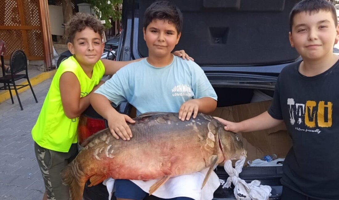 Tekirdağ’ın Hayrabolu ilçesinde amatör balıkçılık yapan bir vatandaş, gölette 38