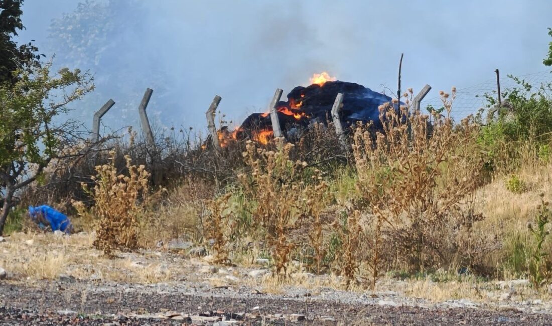 Tekirdağ’ın Malkara ilçesinde çıkan anız yangını, rüzgarın etkisiyle ormanlık alana
