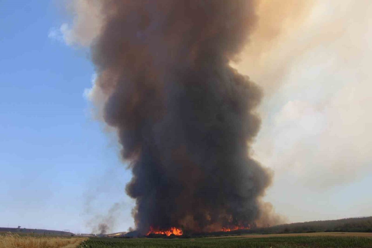 Tekirdağ’ın Şarköy ilçesinde başlayan yangın rüzgarın da etkisiyle dün gece