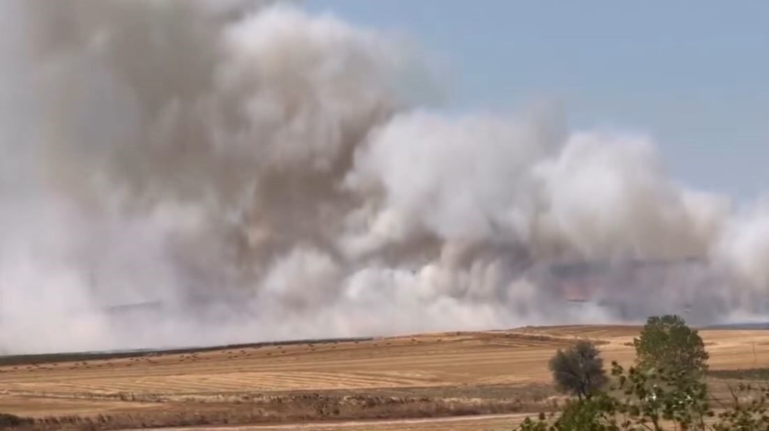 Tekirdağ’ın Marmaraereğlisi ilçesinde çıkan anız yangını, itfaiye ekiplerince kontrol altına