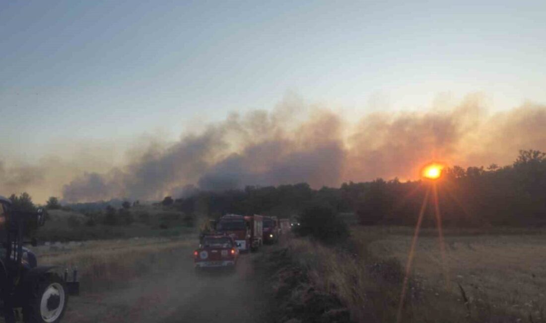 Tekirdağ’ın Saray ilçesinde eski kömür ocağı sahasında yangın çıktı. Kısa