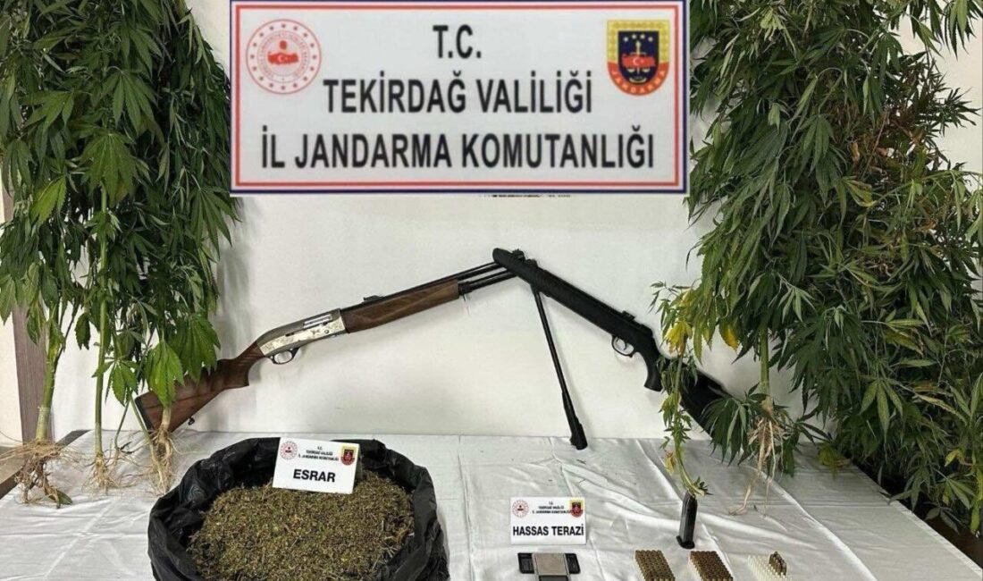 Tekirdağ’da gerçekleştirilen 3 ayrı operasyonda bonzai, amfetamin, kubar esrar, sentetik