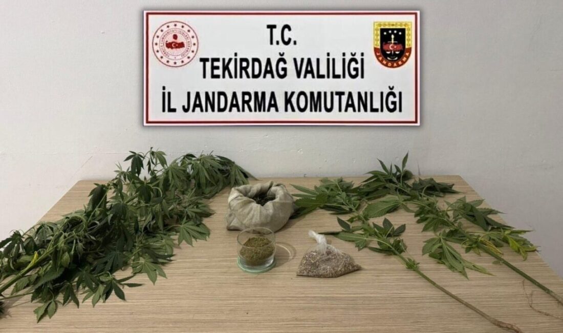 Tekirdağ İl Jandarma Komutanlığı ekipleri tarafından 5 ilçede gerçekleştirilen 6