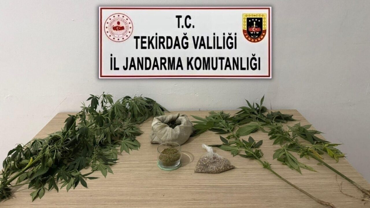 Tekirdağ İl Jandarma Komutanlığı ekipleri tarafından 5 ilçede gerçekleştirilen 6