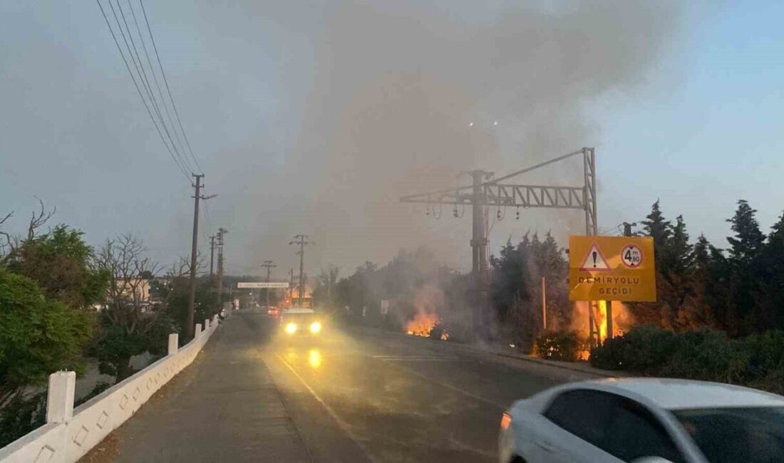 Tekirdağ’ın Ergene ilçesinde ot ve çalılık alanda çıkan yangın, itfaiye