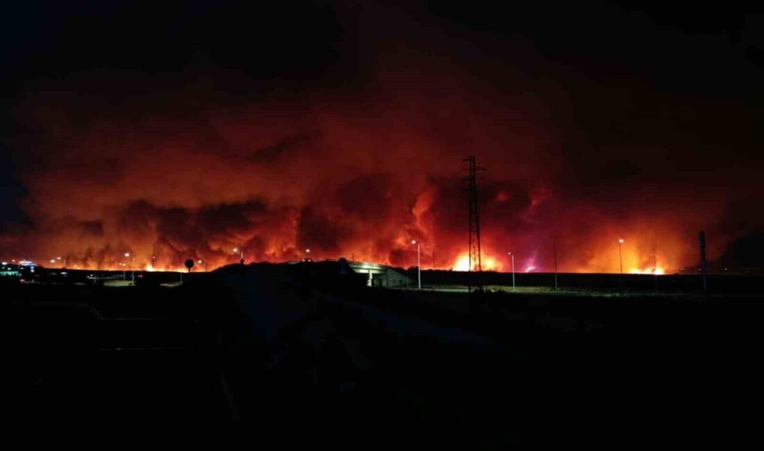 Tekirdağ’ın Şarköy ilçesinde çıkan orman yangını, rüzgarın etkisiyle büyüyerek geceyi