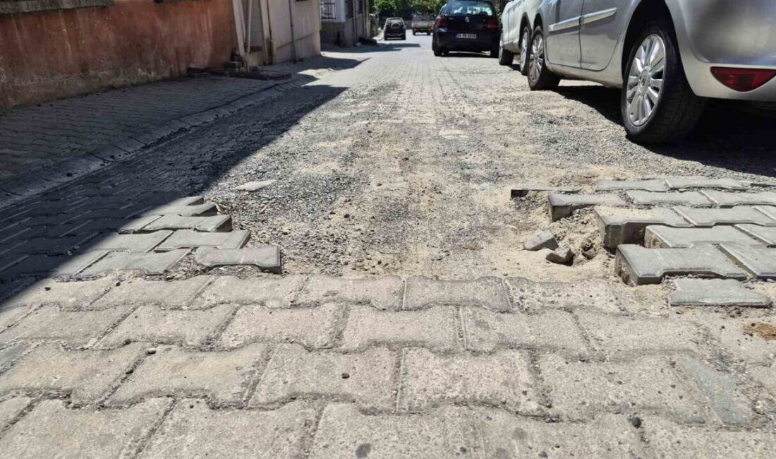 Tekirdağ’ın Süleymanpaşa ilçesinde yıllardır bakım yapılmayan bazı sokaklar adeta kazı