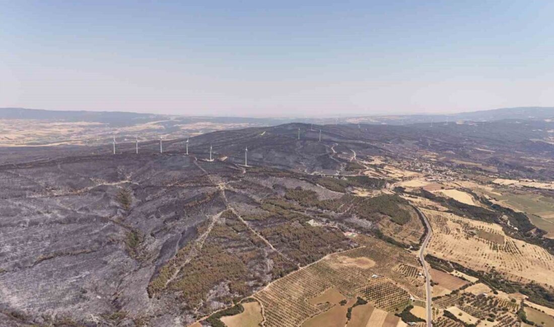Tekirdağ’ın Şarköy ilçesindeki orman yangını kontrol altına alınırken, yanan alanlar