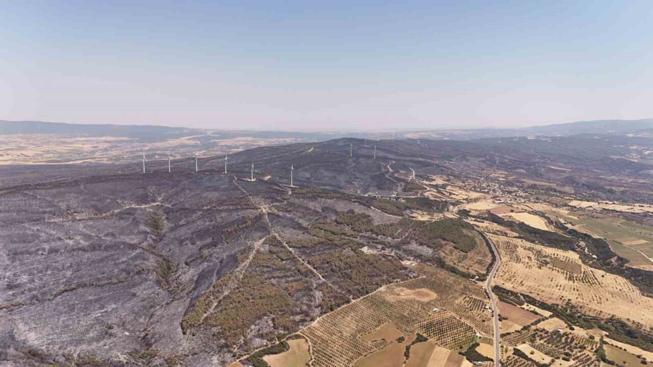 Tekirdağ’ın Şarköy ilçesindeki orman yangını kontrol altına alınırken, yanan alanlar