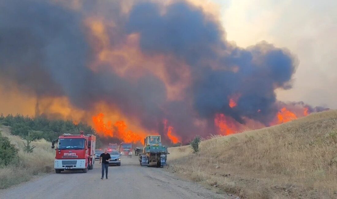 Tekirdağ’ın Şarköy ilçesine bağlı Sofuköy Mahallesi’nde çıkan orman yangını kontrol