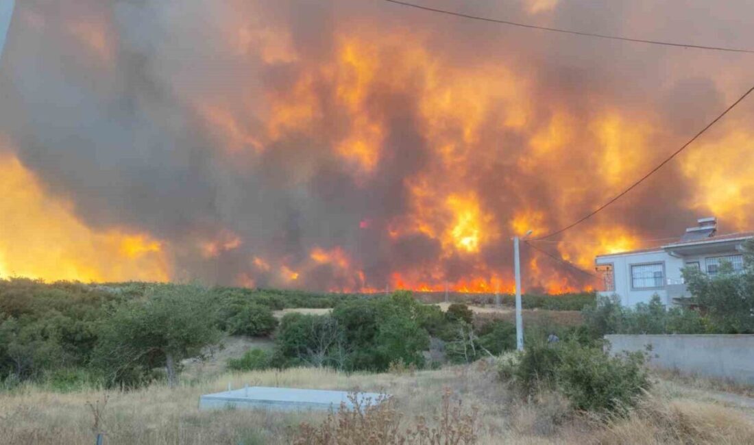 Tekirdağ’ın Şarköy ilçesinde çıkan orman yangını, şiddetli rüzgarın etkisiyle yayılarak