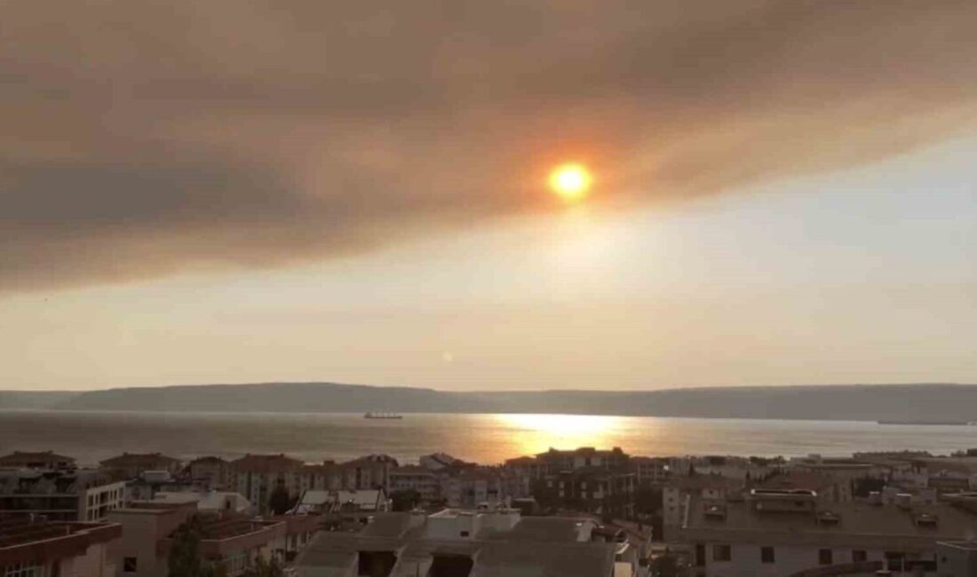 Tekirdağ’ın Şarköy ilçesinde devam eden yangının dumanı Çanakkale Boğazı’nı kapladı.