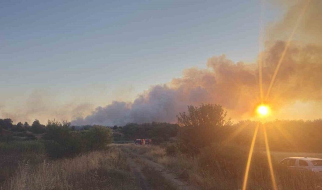 Tekirdağ’ın Saray ilçesinde eski kömür ocaklarının bulunduğu bölgede çıkan yangın