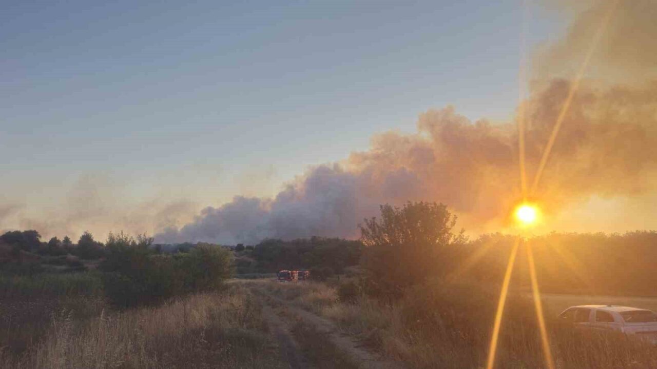 Tekirdağ’ın Saray ilçesinde eski kömür ocaklarının bulunduğu bölgede çıkan yangın