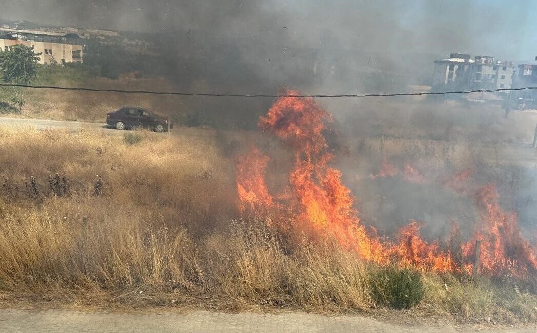 Manisa’nın Yunusemre ilçesinde belediyeye ve şahıslara ait arazilerde temizlenmeyen otlar
