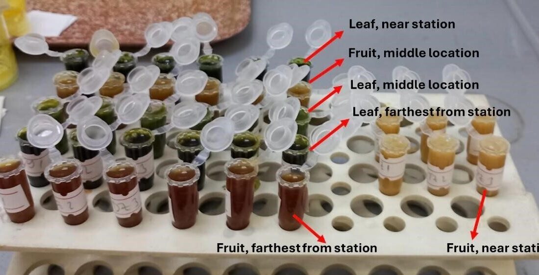 Karadeniz Teknik Üniversitesi (KTÜ) Fen Fakültesi Moleküler Biyoloji ve Genetik