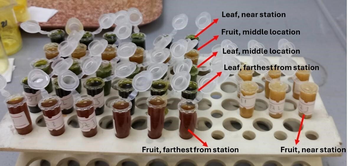 Karadeniz Teknik Üniversitesi (KTÜ) Fen Fakültesi Moleküler Biyoloji ve Genetik