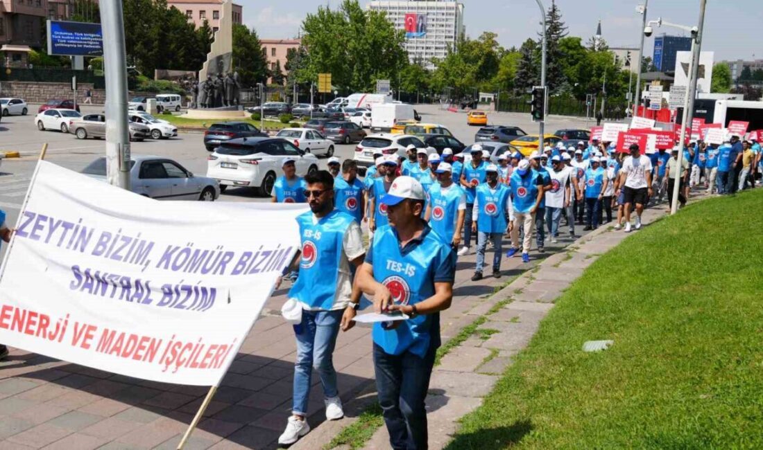 Türkiye Enerji Su ve Gaz İşçileri Sendikası (TES-İŞ) ve Milaslı