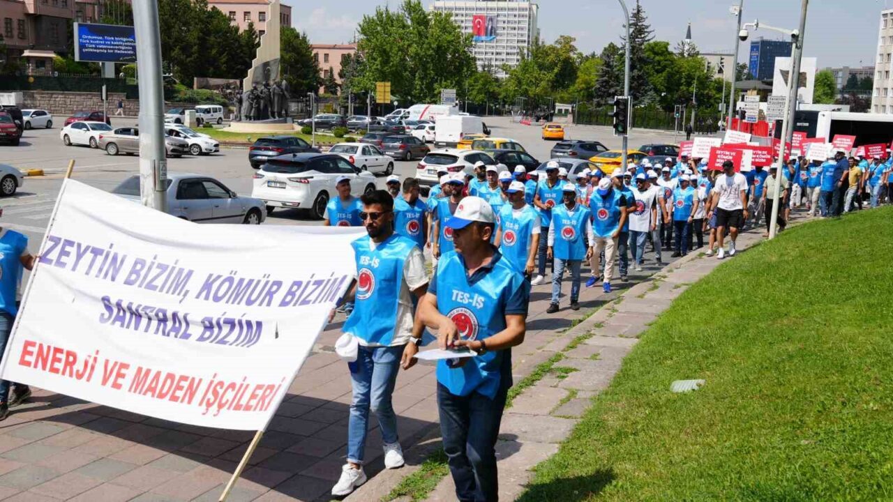 Türkiye Enerji Su ve Gaz İşçileri Sendikası (TES-İŞ) ve Milaslı