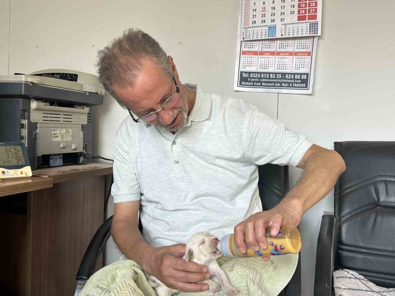 Mersin’in Tarsus ilçesinde tescilli ırk olan Çatalburun köpeği bir batında