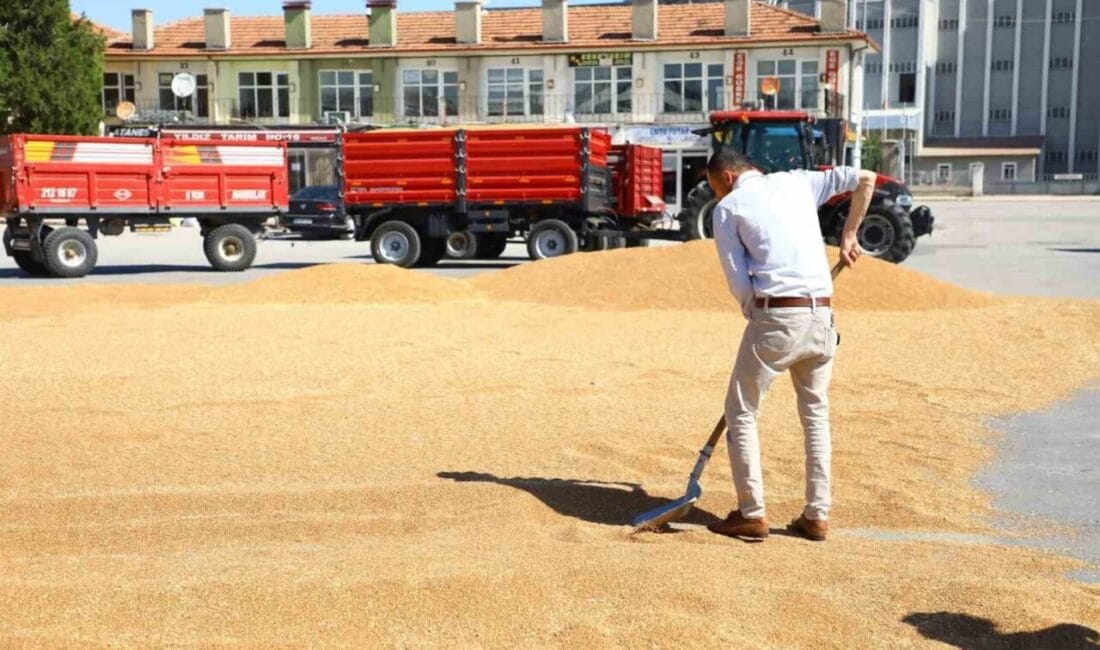Çorum’un Alaca ilçesin de hasat sezonunun başlamasıyla birlikte sezonun ilk