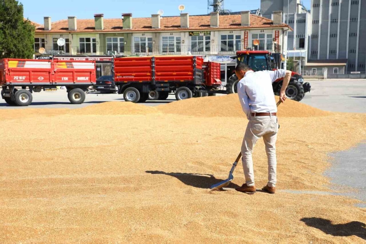 Çorum’un Alaca ilçesin de hasat sezonunun başlamasıyla birlikte sezonun ilk