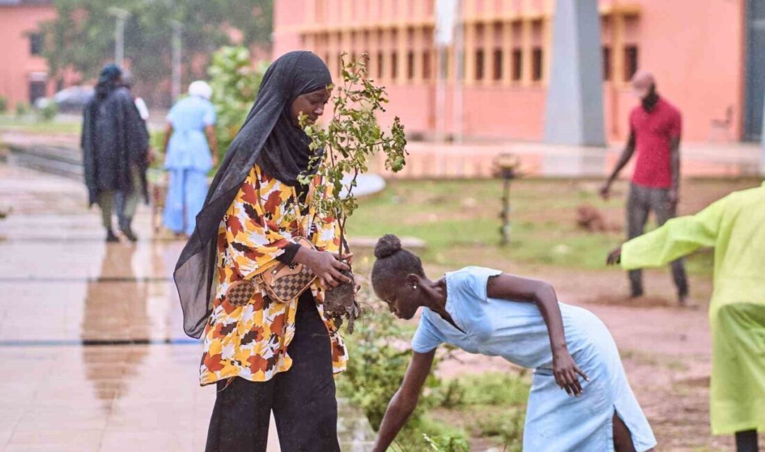 Türk İşbirliği ve Koordinasyon Ajansı Başkanlığı (TİKA), 15 Temmuz Demokrasi