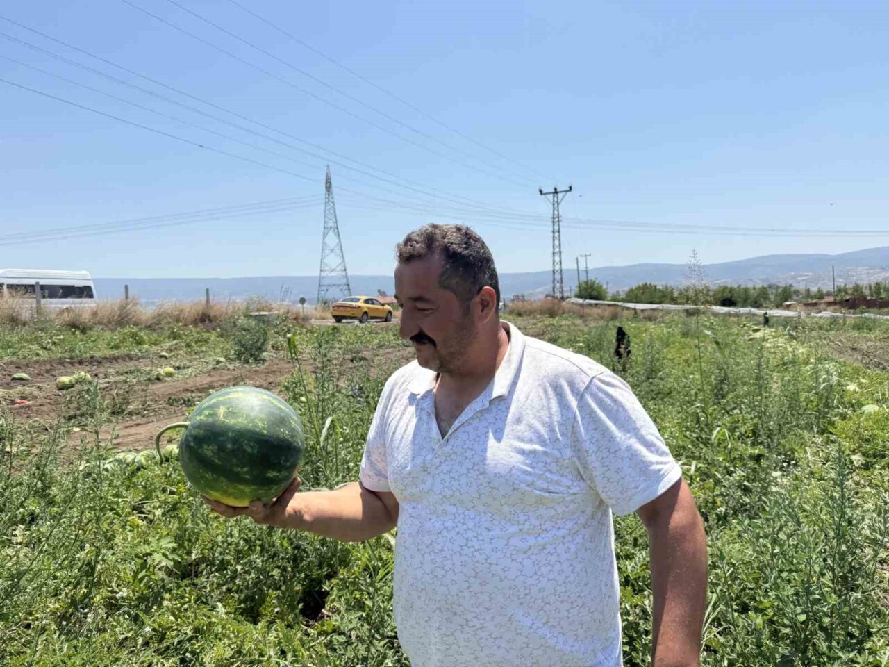 Tokat’ın Erbaa ilçesinde karpuz hasadı yüksek rekolteyle yüz güldürdü, 1
