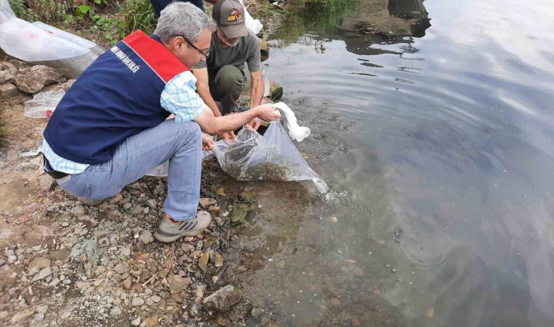 Düzce (İHA) – Düzce’de Tarım ve Orman İl Müdürlüğü tarafından