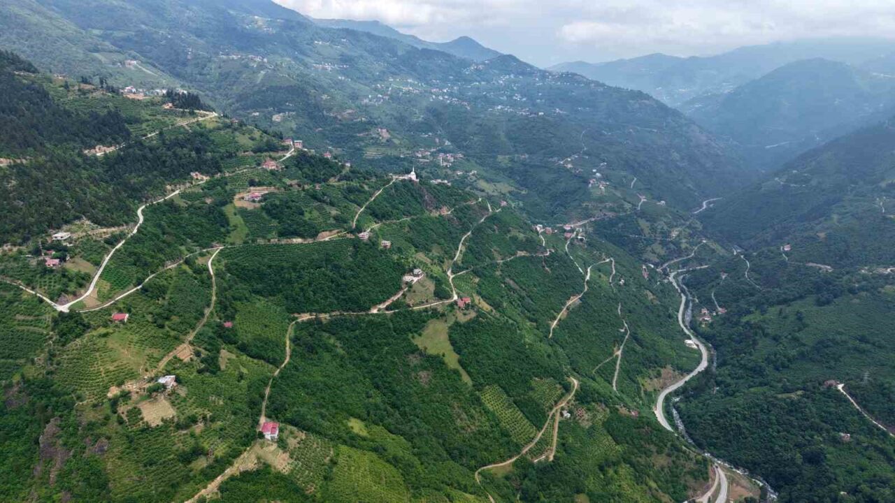 Türkiye’nin Karadeniz kıyısındaki şehirlerinden biri olan Trabzon, sahip olduğu yol