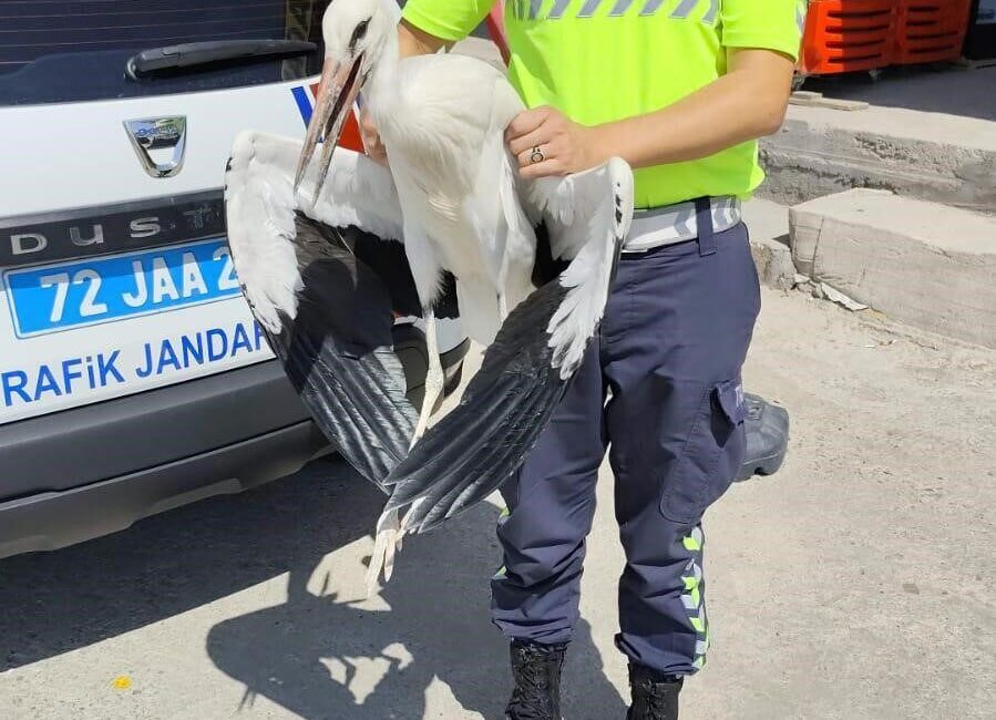 Batman’ın Kozluk ilçesinde yol denetimlerinde bulunan jandarma trafik ekiplerinin radarı