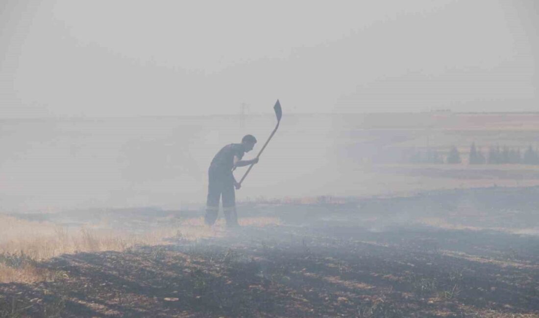 Eskişehir’de trafodan çıkan yangında yaklaşık 50 dönüm tarım arazisi kül