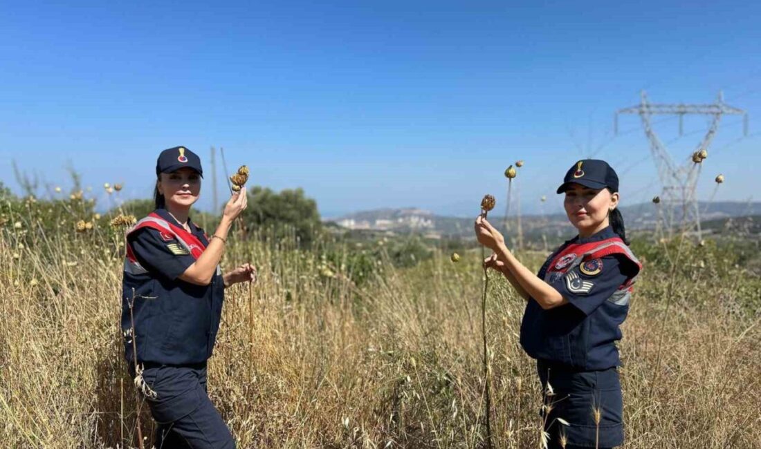 Aydın İl Jandarma Komutanlığı Çevre, Doğa ve Hayvanları Koruma Tim