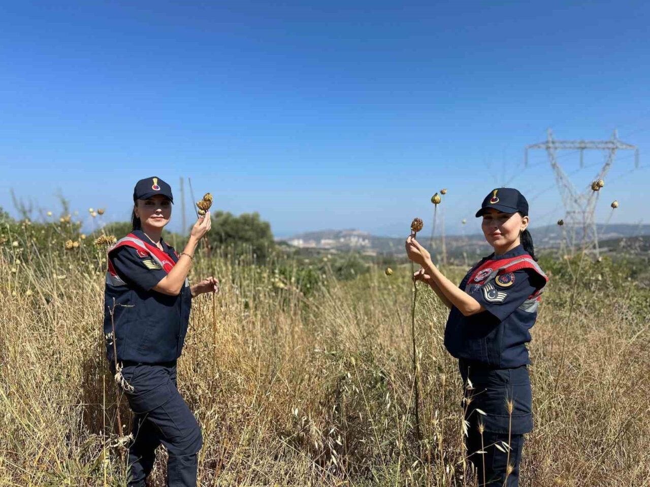 Aydın İl Jandarma Komutanlığı Çevre, Doğa ve Hayvanları Koruma Tim