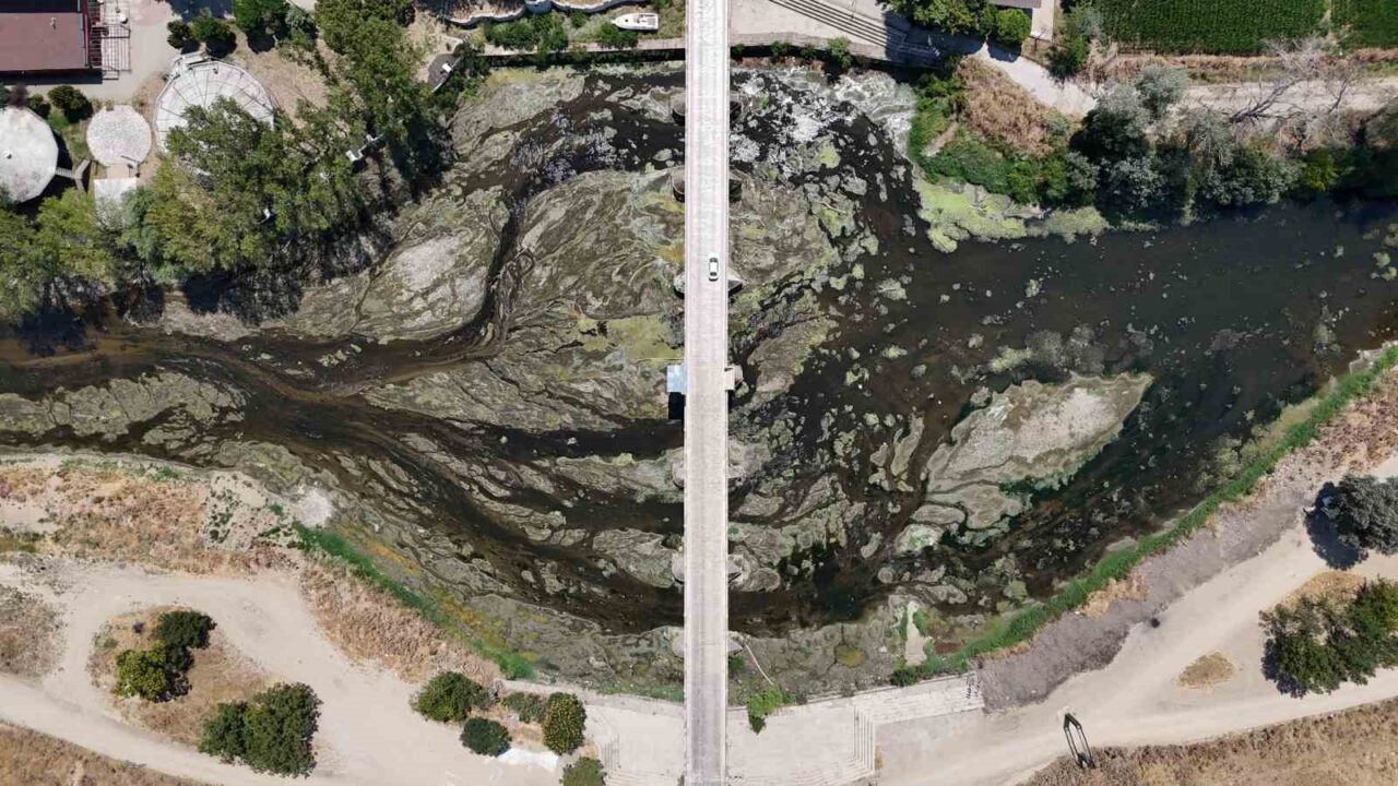 EDİRNE (İHA) – Edirne’de Tunca Nehri’nde su akışı durma noktasına