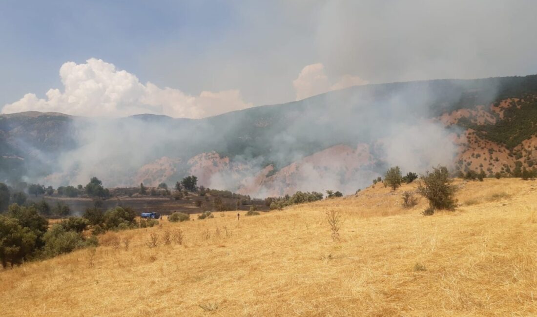 Tunceli’nin Hozat ilçesinde çıkan yangın, büyük ölçüde söndürülürken bölgede müdahale