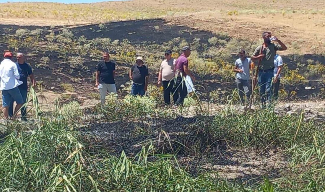 Tunceli’nin Pertek ilçesinde ekili alanda çıkan yangın, belediye ekipleri ve
