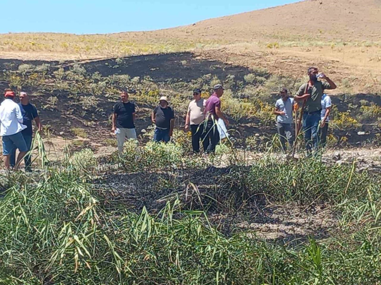 Tunceli’nin Pertek ilçesinde ekili alanda çıkan yangın, belediye ekipleri ve